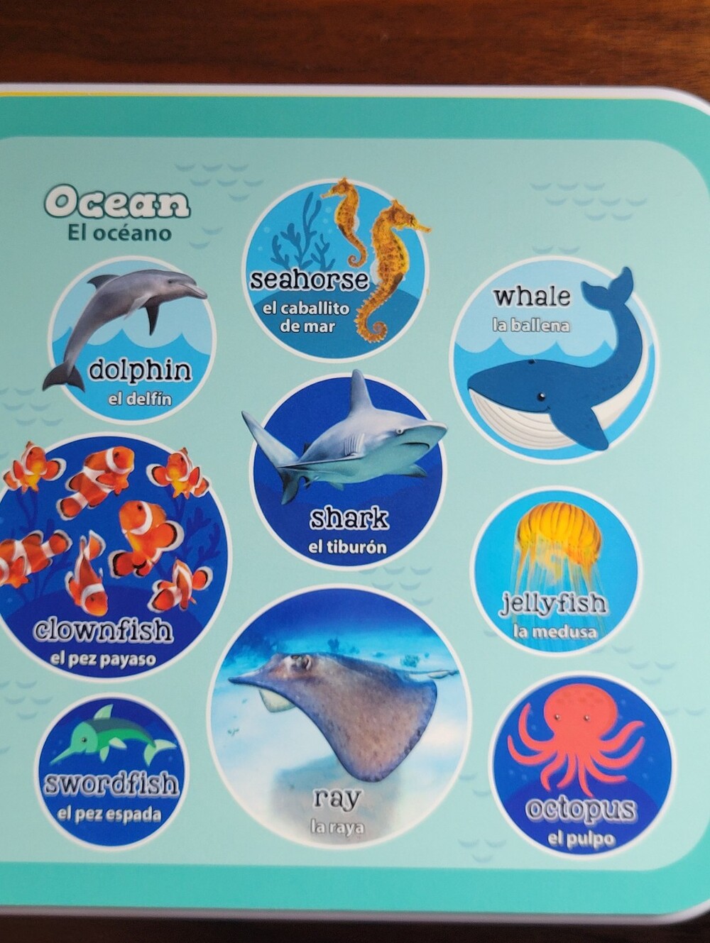 LeapFrog Words And Animals Learning Books (2) - Picture 14 of 15